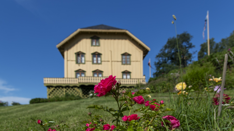 Hagen - roser i forgrunnen av huset