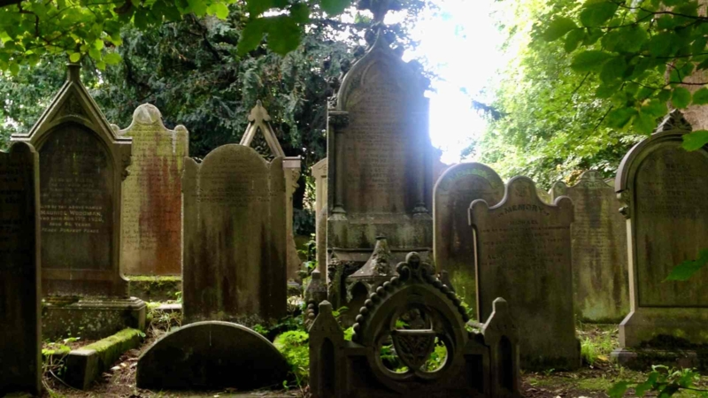Spoon River illustrasjonsbilde