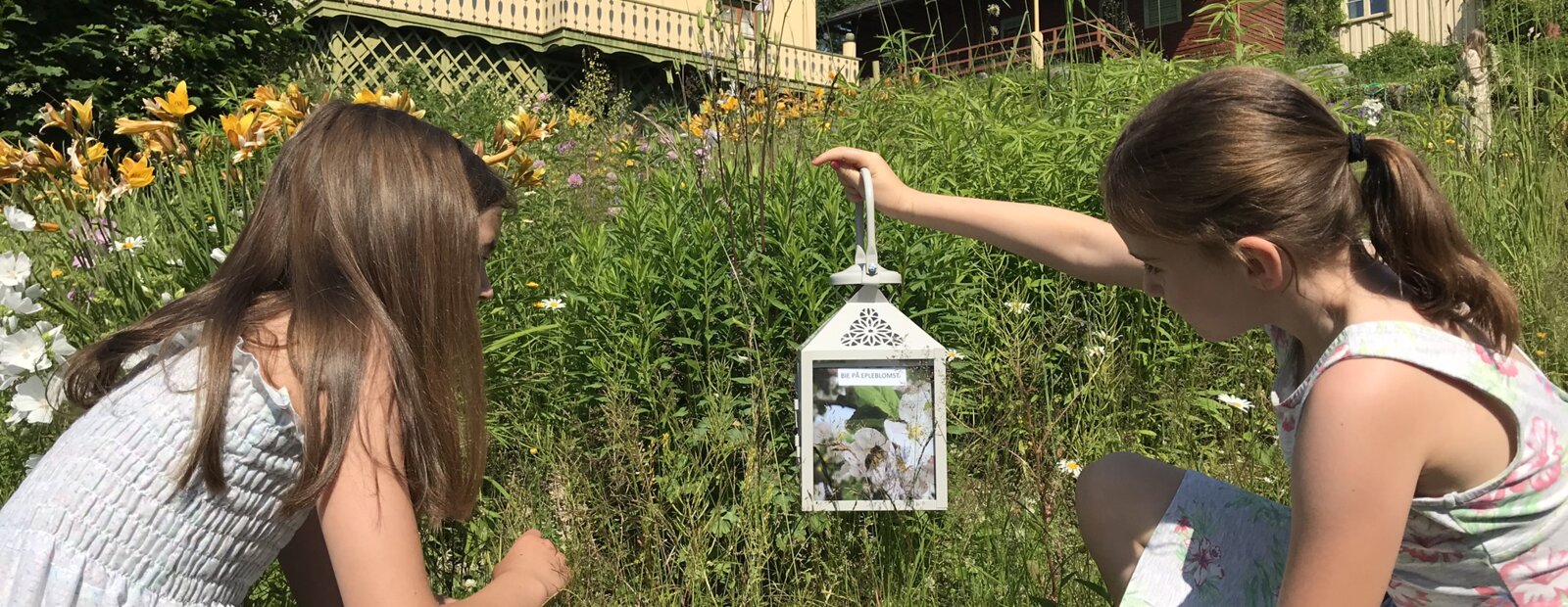 oppdagelsesferd i hagen aulestad